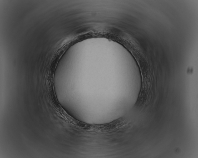 X0000095520773200801041222