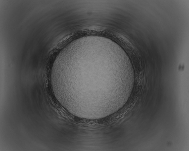 X0000095520774200801041222