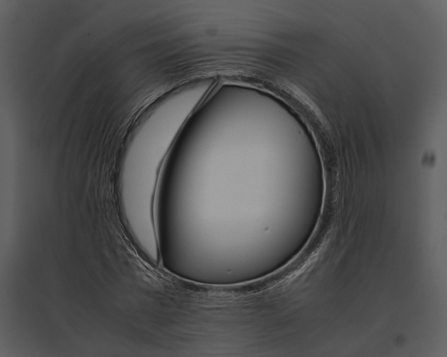 X0000095520777200801041222