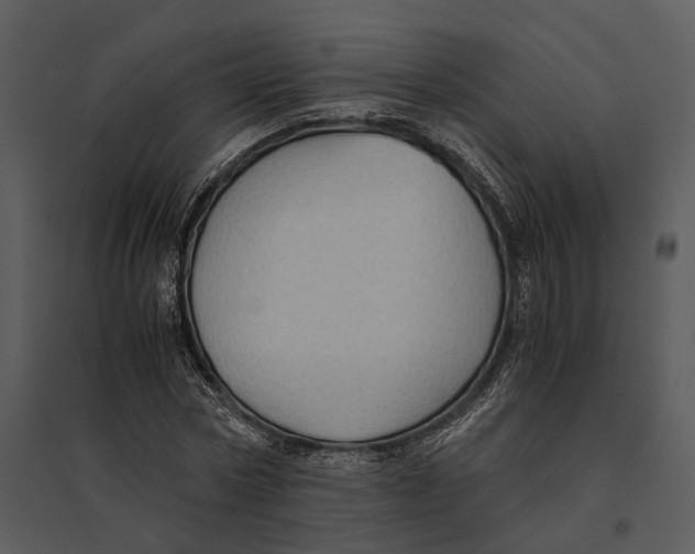 X0000095520778200801041222