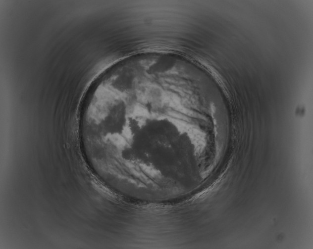 X0000095520779200801041222