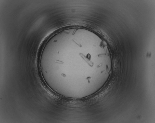 X0000095520780200801041222