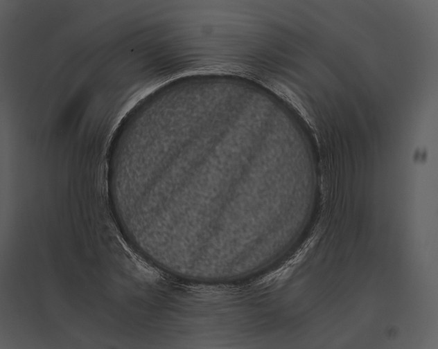 X0000095520781200801041222