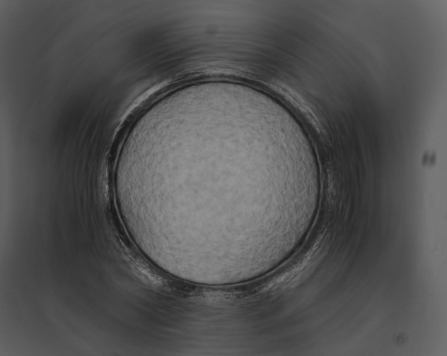 X0000095520782200801041222