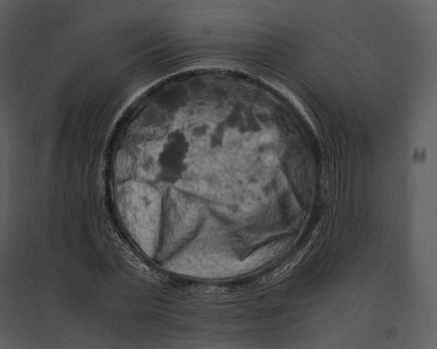 X0000095520783200801041222