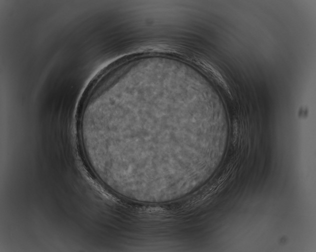 X0000095520784200801041222