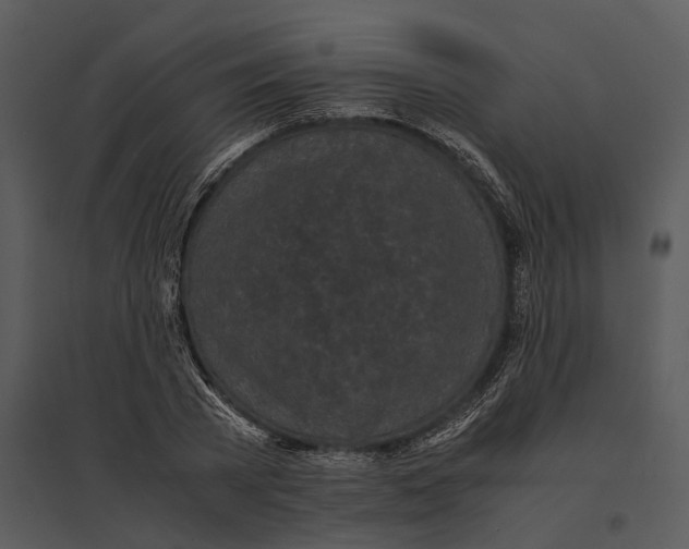 X0000095520785200801041222