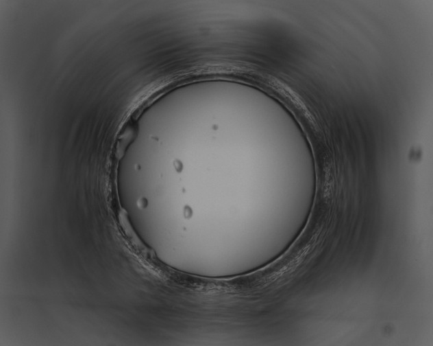 X0000095520786200801041222