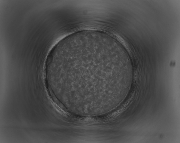 X0000095520787200801041222