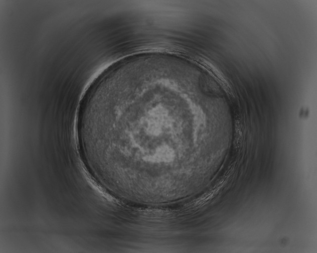 X0000095520788200801041222