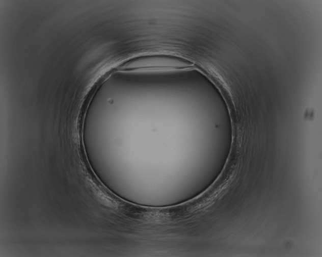 X0000095520789200801041222