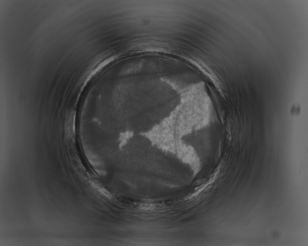 X0000095520790200801041222