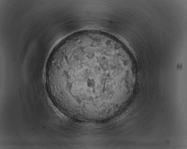 X0000095520791200801041222