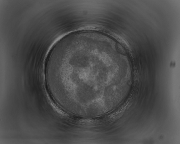 X0000095520792200801041222