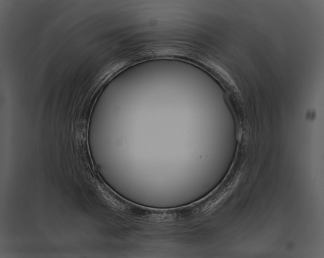 X0000095520793200801041222