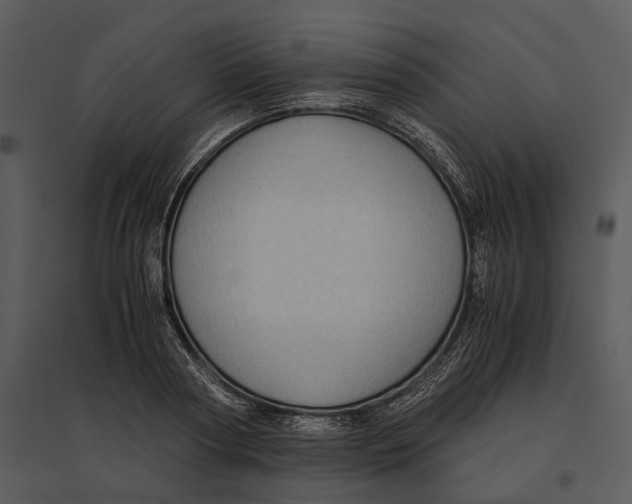 X0000095520794200801041222