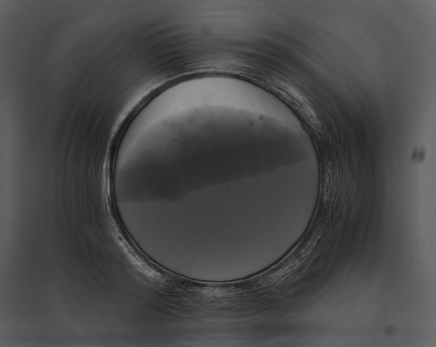 X0000095520796200801041222