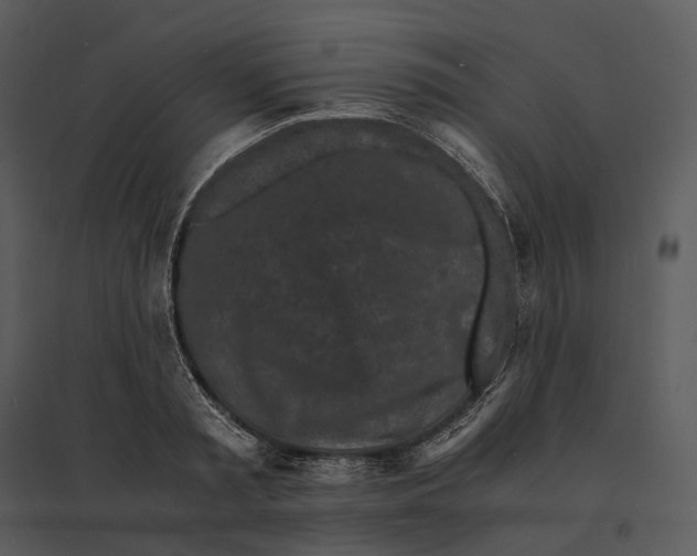 X0000095520797200801041222