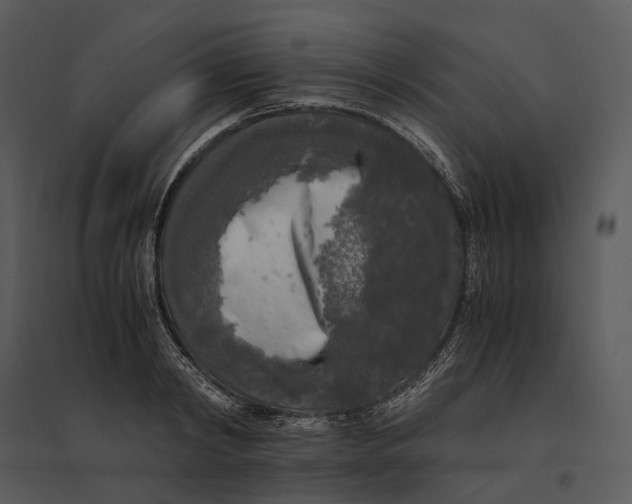 X0000095520798200801041222