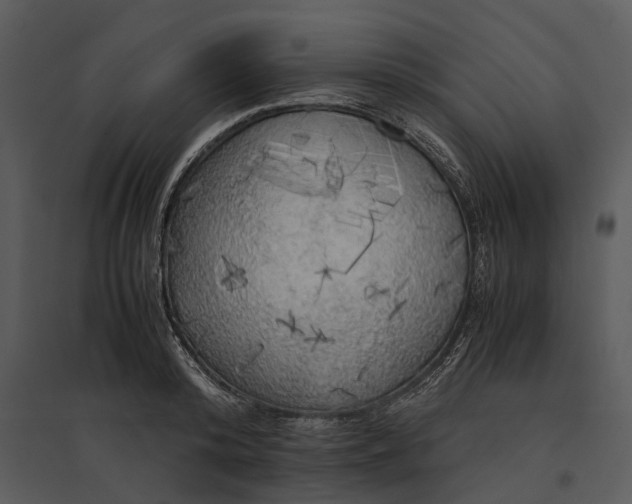 X0000095520800200801041222