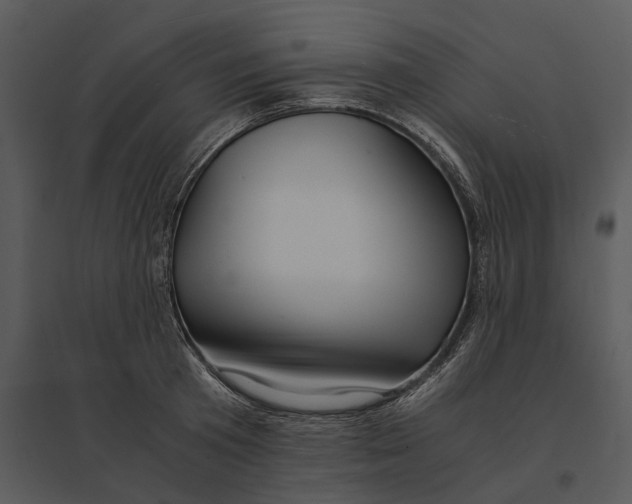 X0000095520801200801041222