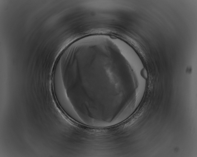 X0000095520802200801041221