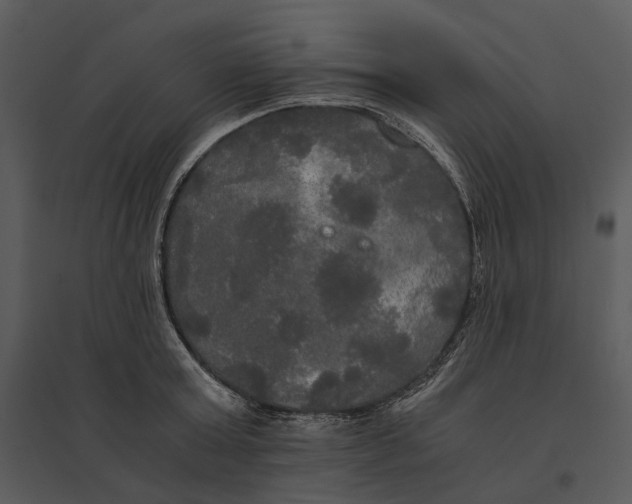 X0000095520803200801041221