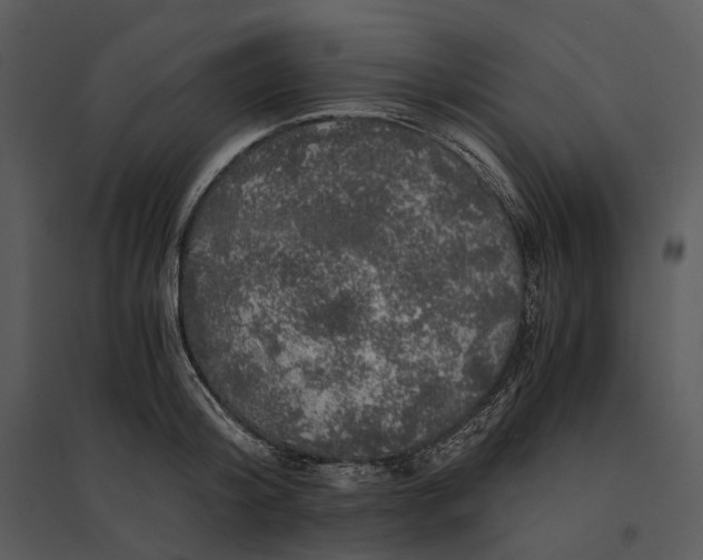 X0000095520804200801041221