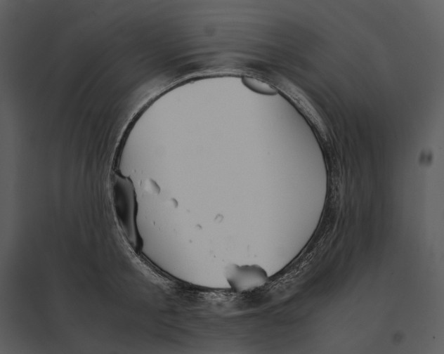 X0000095520805200801041221