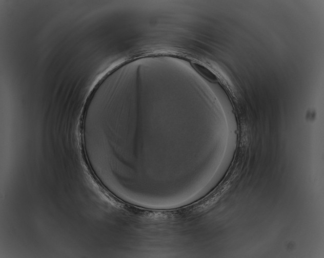 X0000095520806200801041221