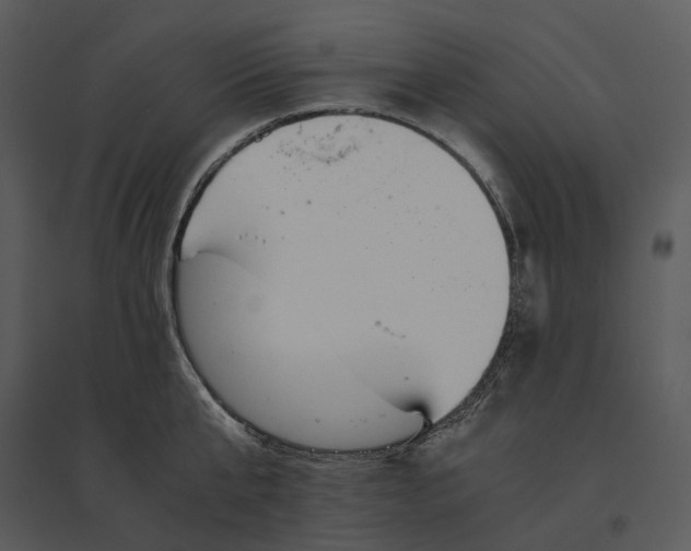 X0000095520807200801041221