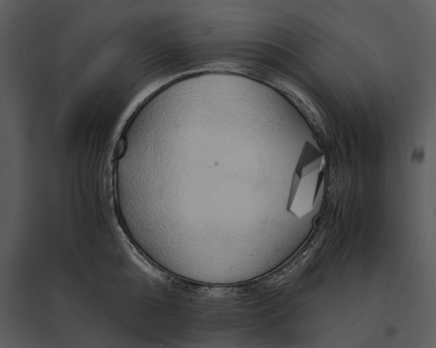 X0000095520808200801041221