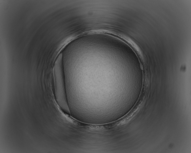 X0000095520809200801041221