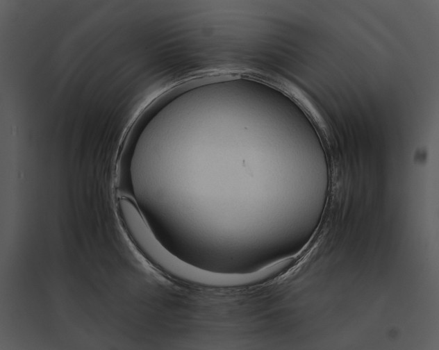 X0000095520810200801041221