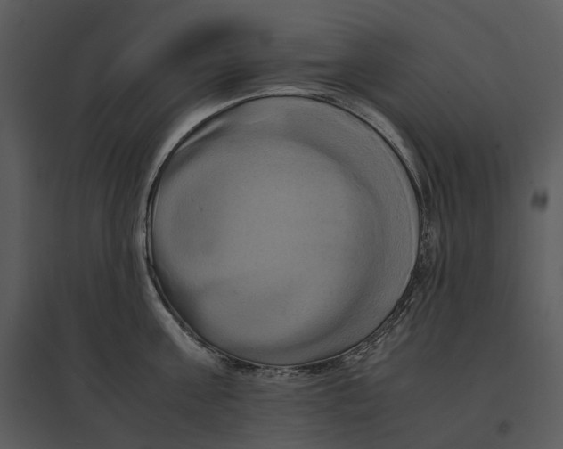 X0000095520811200801041221