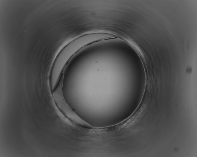 X0000095520813200801041221