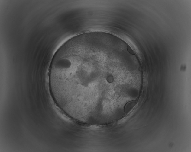 X0000095520814200801041221