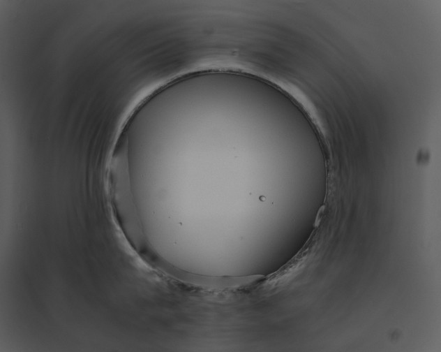 X0000095520815200801041221