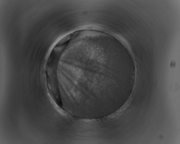 X0000095520816200801041221