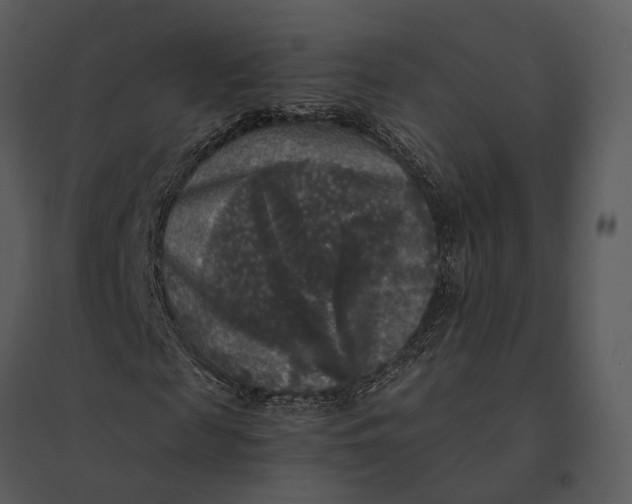 X0000095520817200801041221