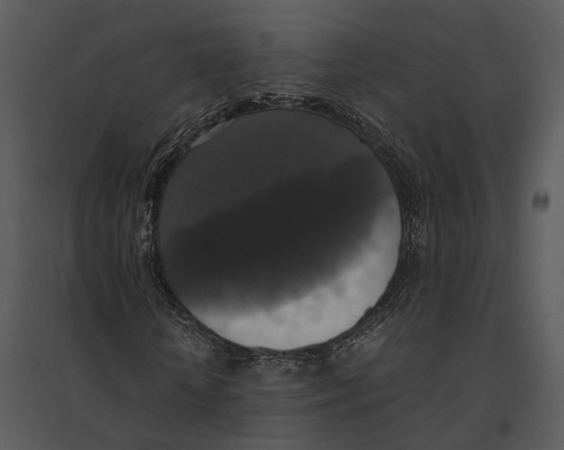 X0000095520818200801041221