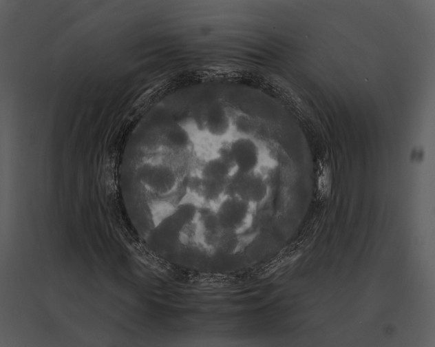 X0000095520819200801041221