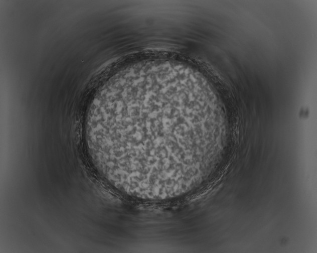 X0000095520821200801041221