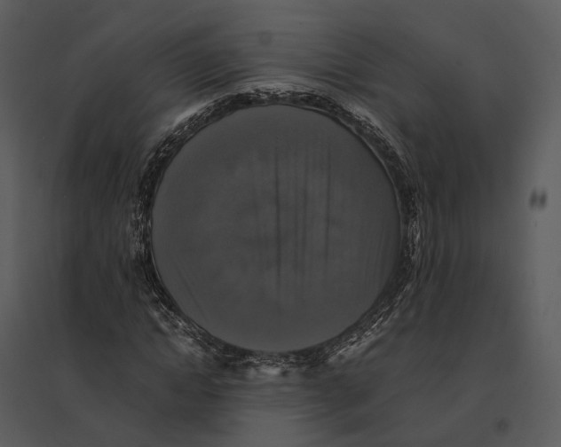 X0000095520822200801041221