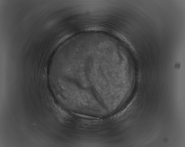 X0000095520825200801041221