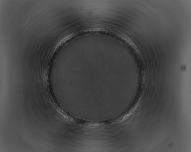 X0000095520826200801041221