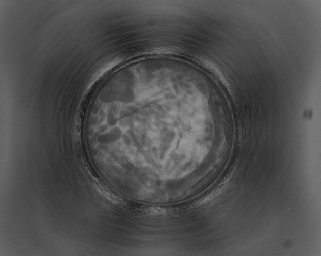 X0000095520827200801041221