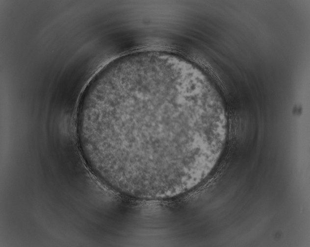 X0000095520828200801041221