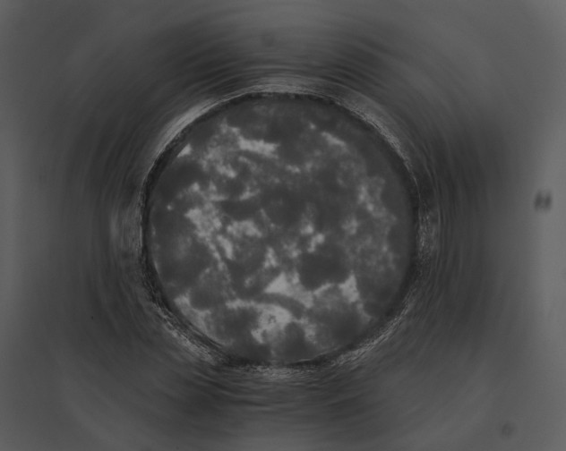 X0000095520829200801041221