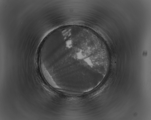 X0000095520830200801041221